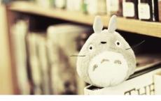 永不妥协观后感