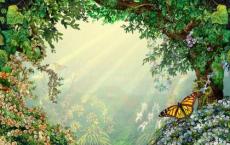 爱护公共设施标语