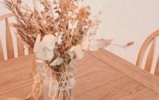 西游记读书心得