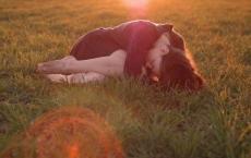 白杨礼赞读后感