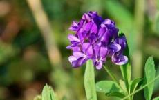 读格列佛游记有感