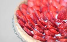 开天辟地观后感