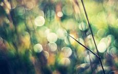 平凡的世界读后感