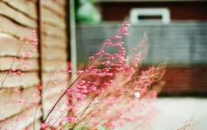 开学新鲜事作文