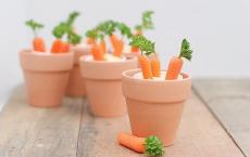 秋天的怀念读后感