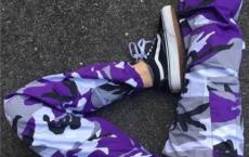 紫藤萝瀑布读后感