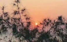 理智与情感读后感