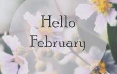 保卫延安读后感