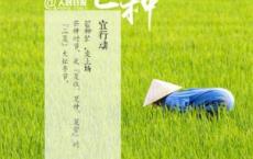 成长感悟作文600字