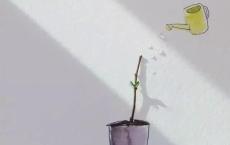 创建文明城市标语