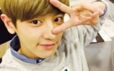 荷塘月色读后感