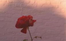 科普书籍读后感