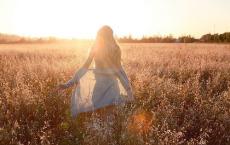 伊索寓言读后感