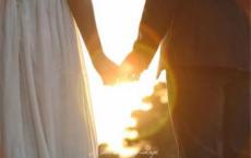 假如给我三天光明读后感400字