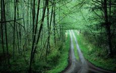 十万个为什么读后感