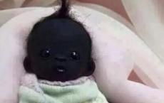 西游记读书笔记