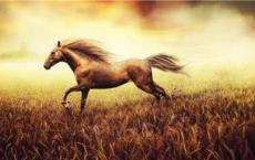 热爱劳动的作文