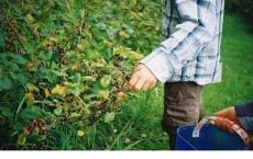 为你丢了我自己