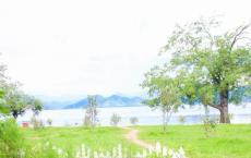 我不敢说出你的名字