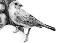 小学数学教师读书笔记