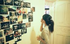 伤不起的爱情伤不起的情