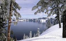 职场相不相信眼泪