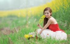 小学教师读书笔记