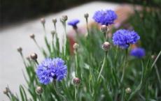 16年前的回忆读后感