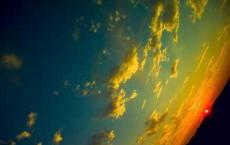 物种起源读后感