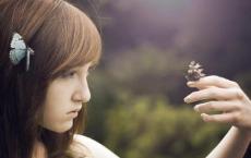 我最敬佩的一个人作文