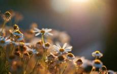 中科大26岁“特任教授”家庭背景曝光：所谓天才 都有因果