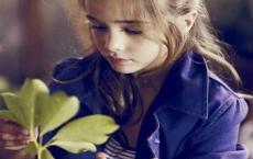 哈佛家训读后感