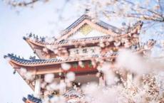 兔死狐悲的故事