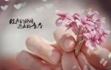 抗震救灾标语