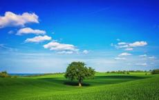 就这样，在寂色中怀念