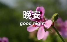 你永远是我最深爱的唯一