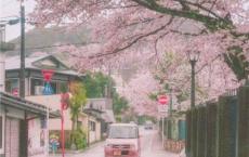 精卫填海读后感