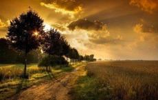 102岁老爸把75岁儿子送进养老院原来变老也可以这么精彩