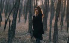 曹冲称象的故事