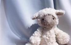 汤姆索亚历险记读后感500字