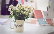 读鲁滨逊漂流记有感