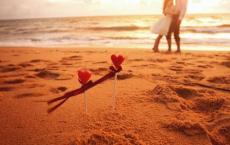 海底捞你学不会读后感