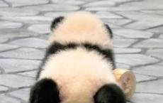 林徽因：只需做好自己自然有人相伴前行