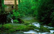 小王子英文读后感