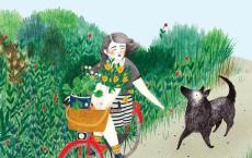 假如给我三天光明读书笔记