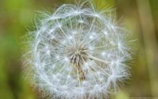 嫦娥奔月的故事