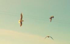 我生活在幸福之中