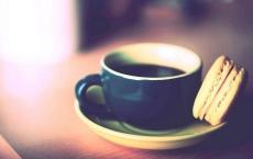 我的心爱之物玩具小熊