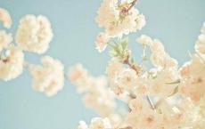 源氏物语读后感