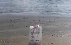 舅兄死前把公司和妻儿都给了他